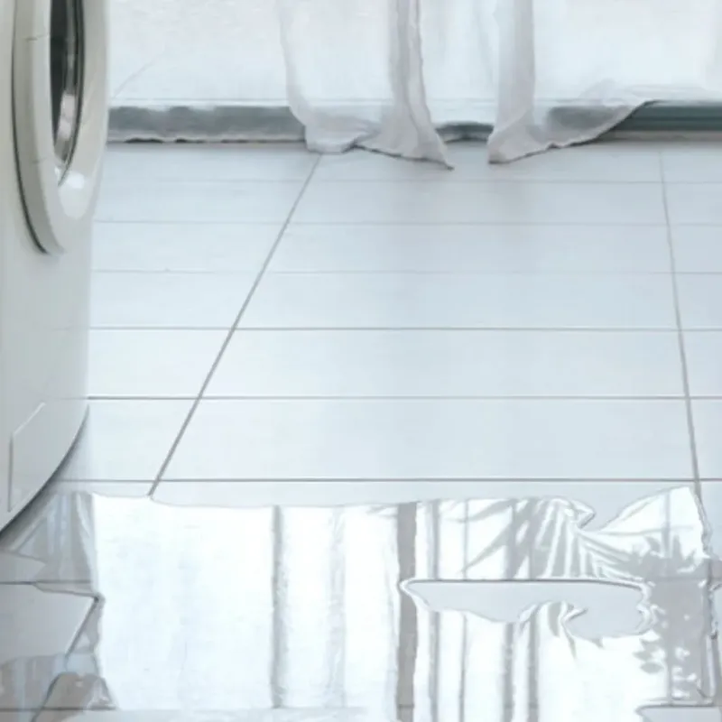 Appliance Leak Cleanup in Seaside, OR